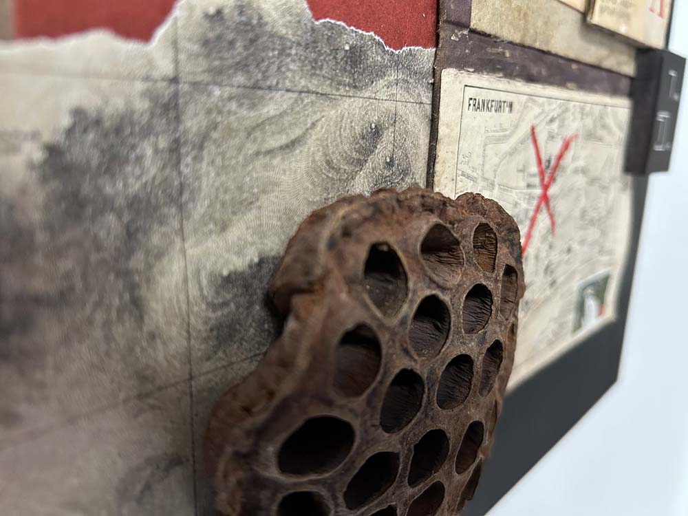 Detail Alpha